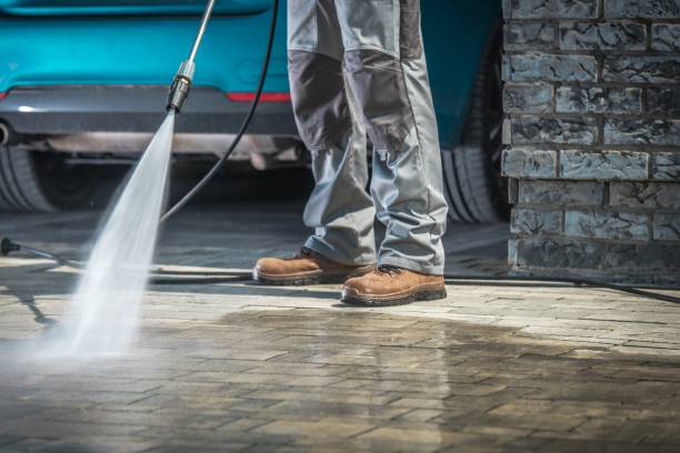 Best Driveway Pressure Washing  in Walnut Hill, TN