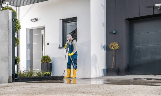 Professional  Pressure Washing Services in Walnut Hill, TN